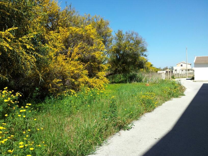 马尔扎梅米Casa Viale Lido别墅 外观 照片